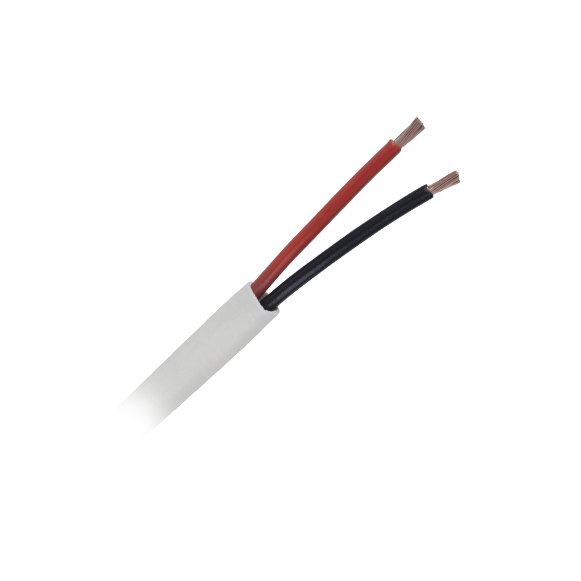 Bobina de 152 Metros / Cable AUDACIOUS / Premium 2 x 12 AWG / Riser / Libre de Oxigeno / Aplicaciones de Audio Profesional