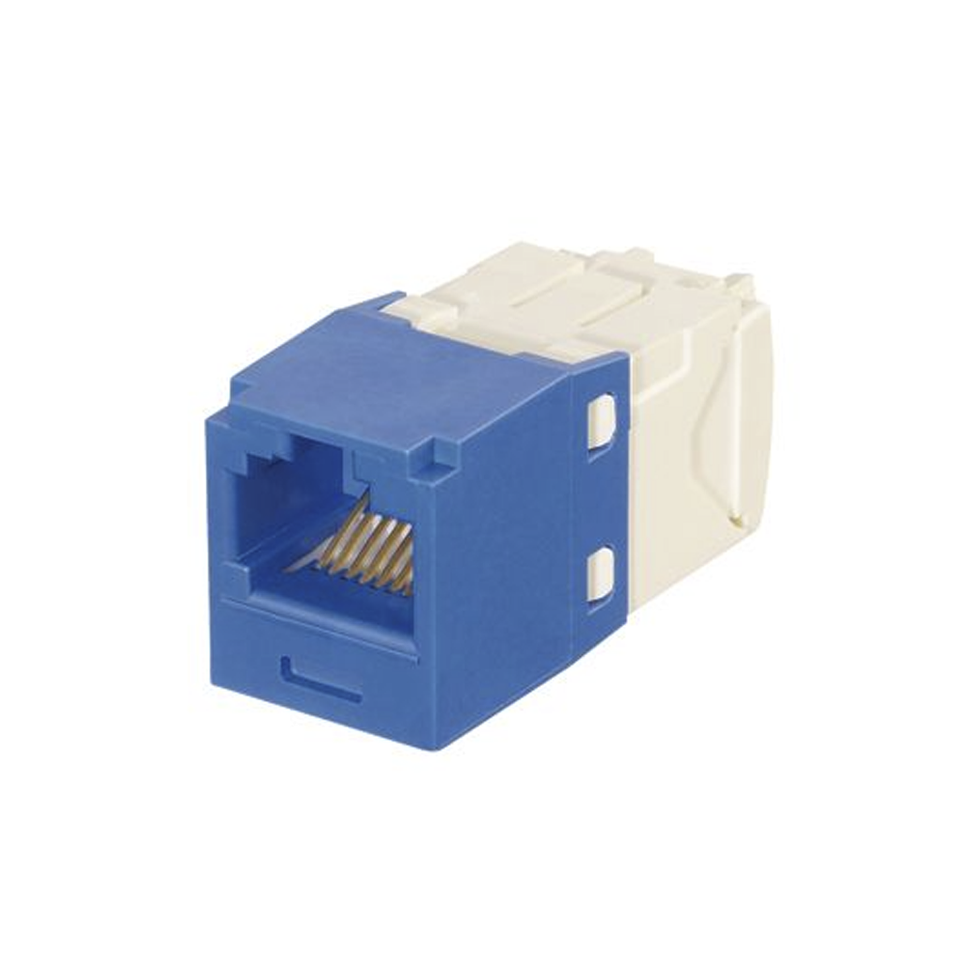 Conector Jack RJ45 Estilo TG con Llaveado Azul, Mini-Com, CategorÃ­a 6, de 8 posiciones y 8 cables