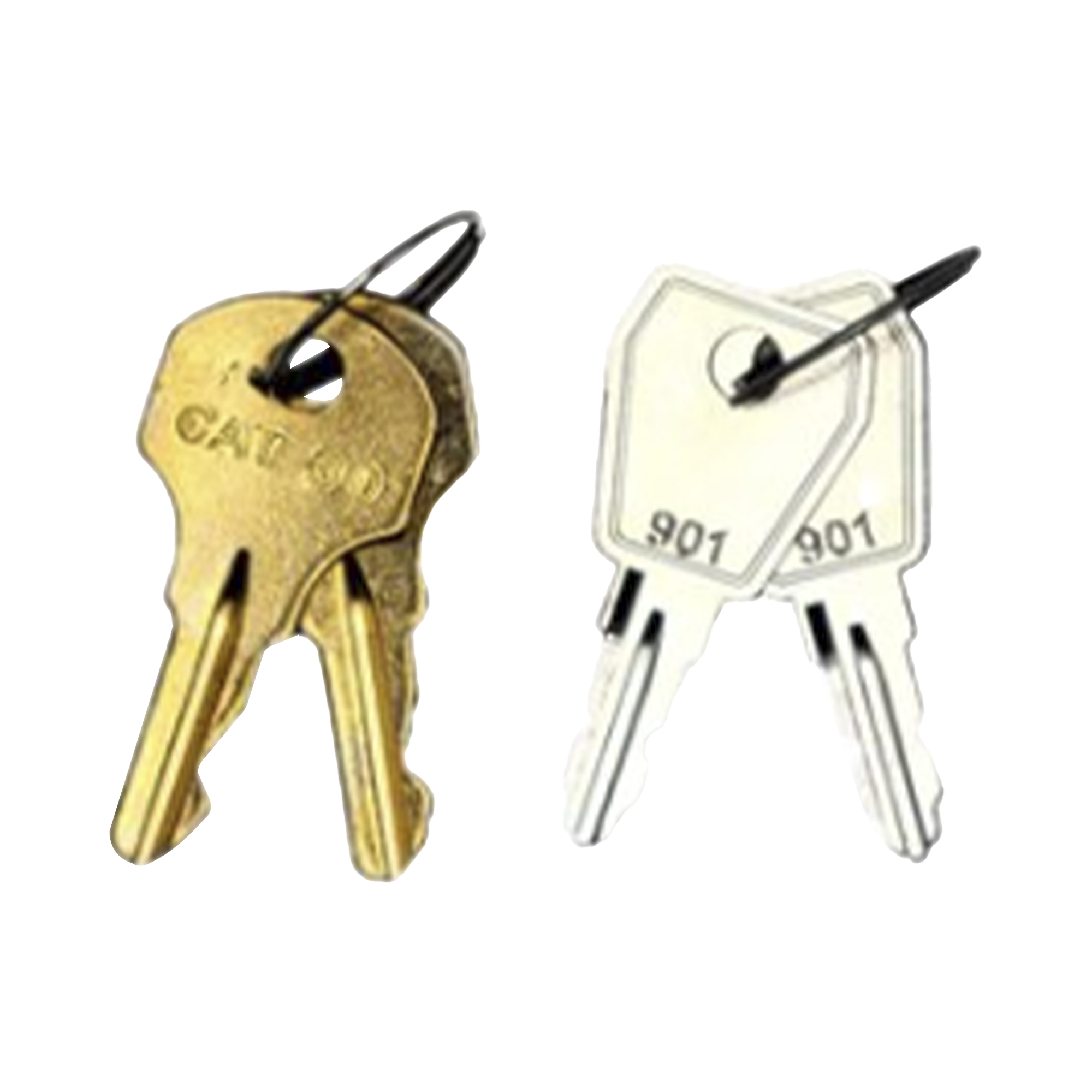 Kit De Llaves De Repuesto y Acceso Para Gabinetes FireNet, FireNet Plus y FireNet L@titude (0100-03380)