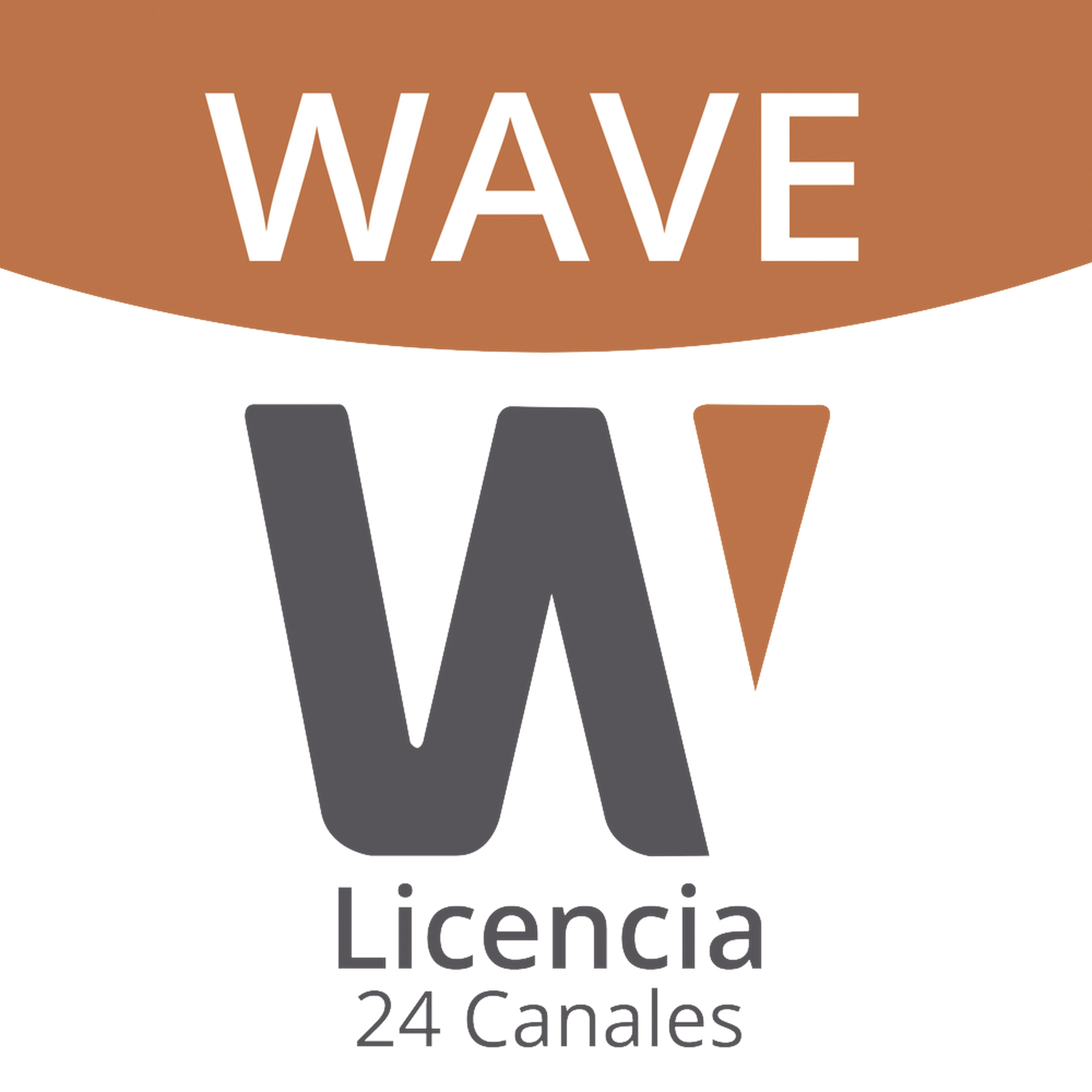 Licencia de 24 Canales de GrabaciÃ³n Wisenet Wave Profesional