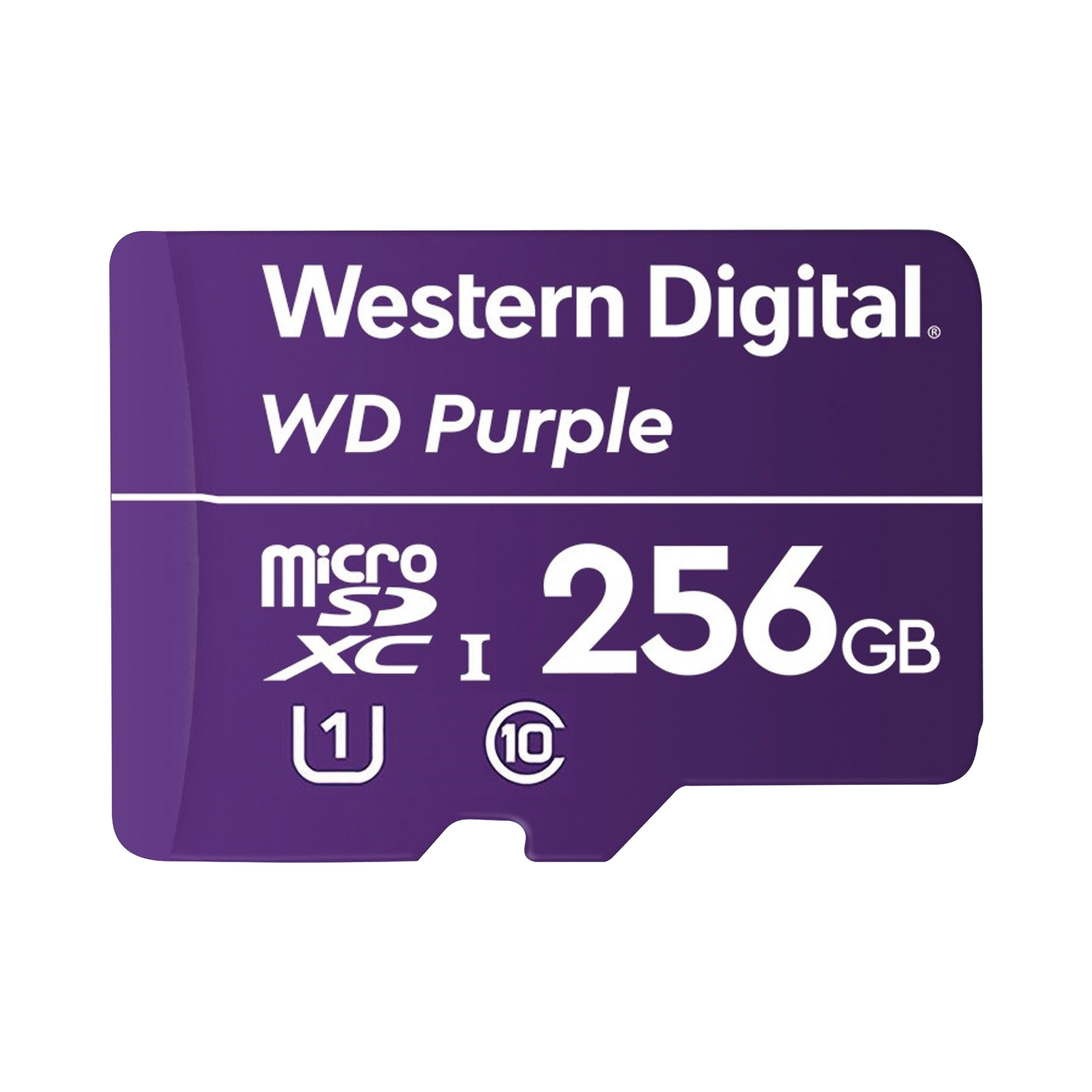 Memoria microSD de 256 GB PURPLE, Especializada Para Videovigilancia, 10 VECES MAYOR DURACIÃN, 3 AÃOS DE GARANTIA