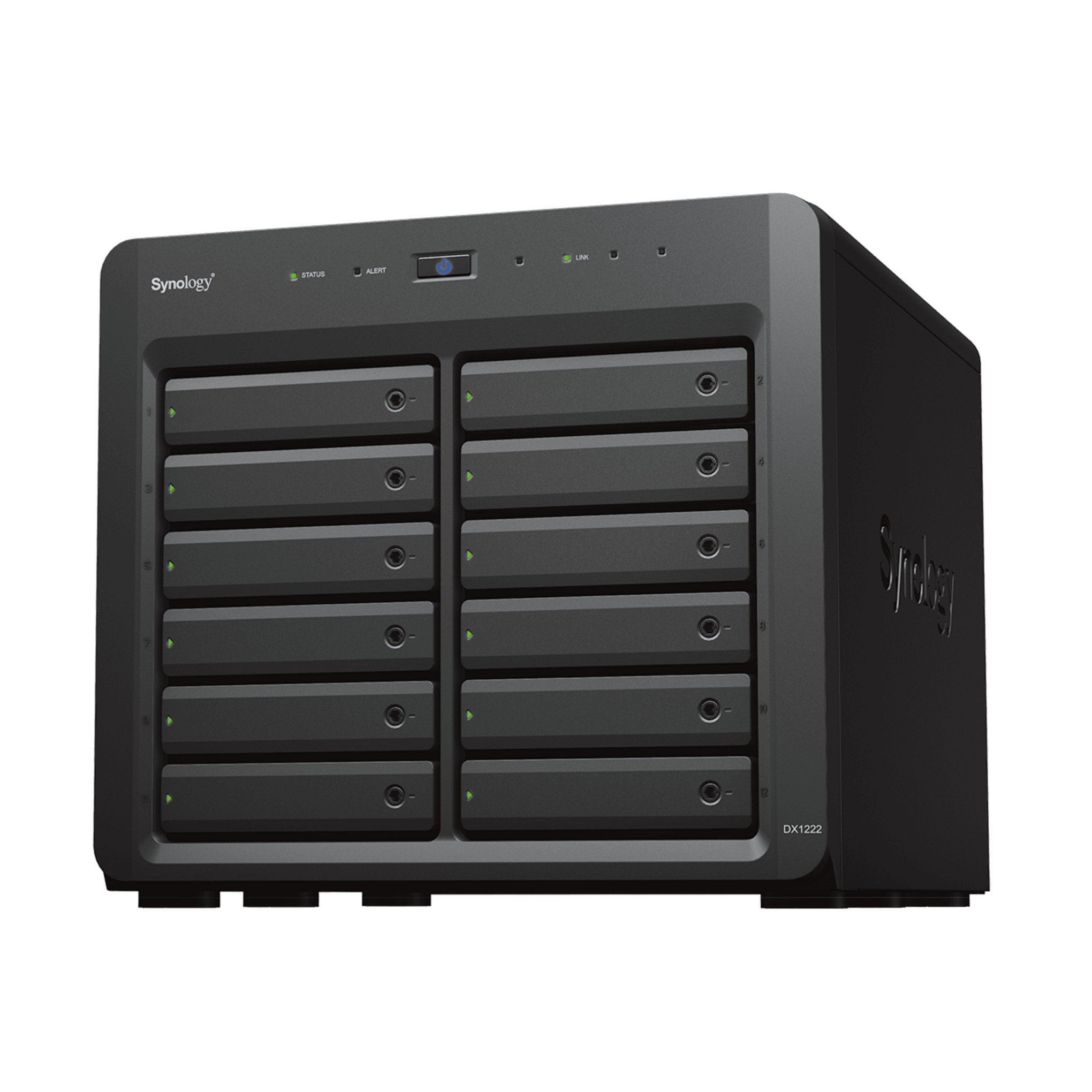 Unidad de ExpansiÃ³n Synology DX1222 | 12 BahÃ­as para HDD/SSD SATA 3.5" o 2.5" | Intercambio en Caliente | Puerto Mini-SAS HD | GarantÃ­a de 5 AÃ±os.